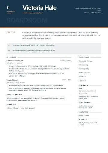 Boardroom Blue CV template preview