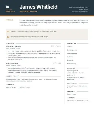 Consulting Brief CV template preview