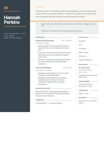 Left Rail Navy CV template preview