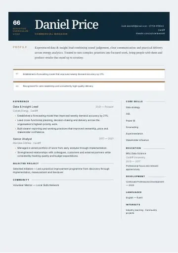 Midnight Board CV template preview
