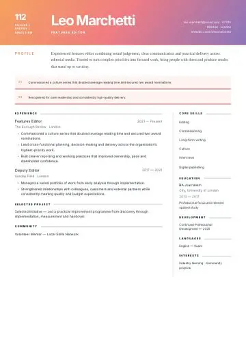 Portrait Navy CV template preview