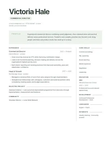 Tech & Digital CV template preview